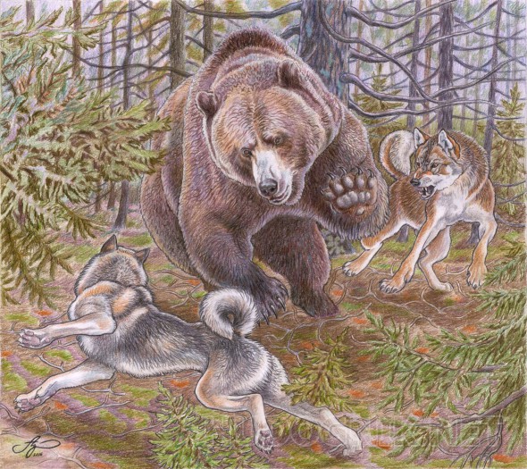 Лайки работают по медведю