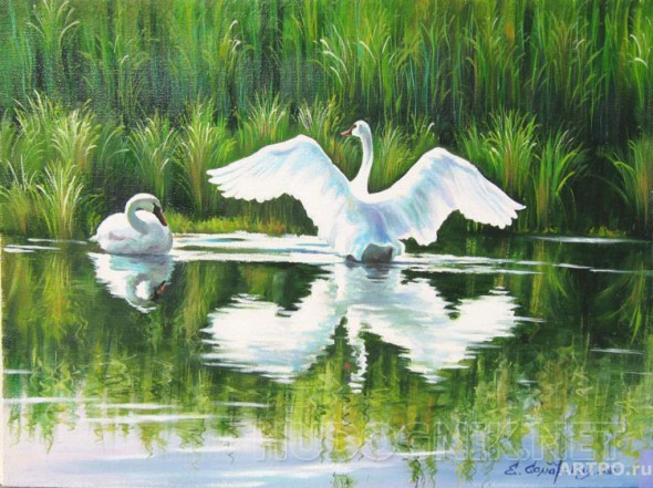 Картина с лебедями - Чарует