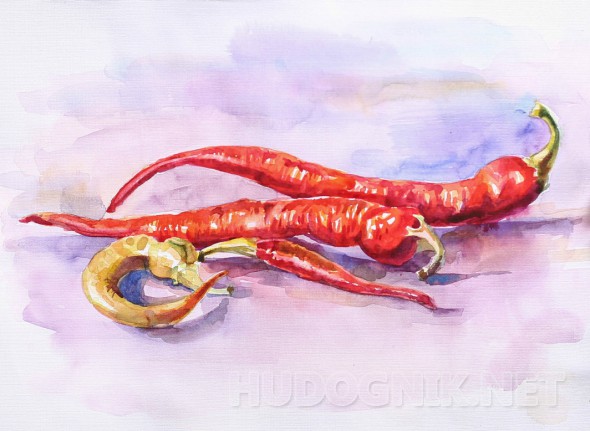 Натюрморт акварелью с красными чилли перцами